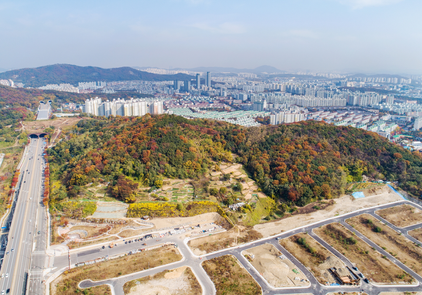 연수구 동춘1동, 주민주도 ‘봉재산 억새꽃 축제’ 연다.